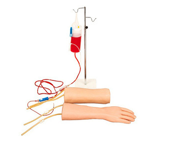 手部、肘部組合式靜脈（血）訓(xùn)練模型